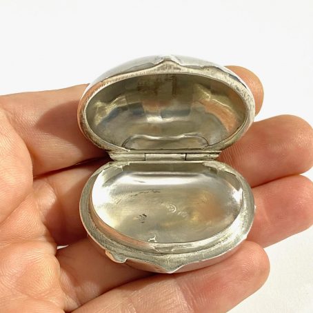 castagna porta pillole in argento